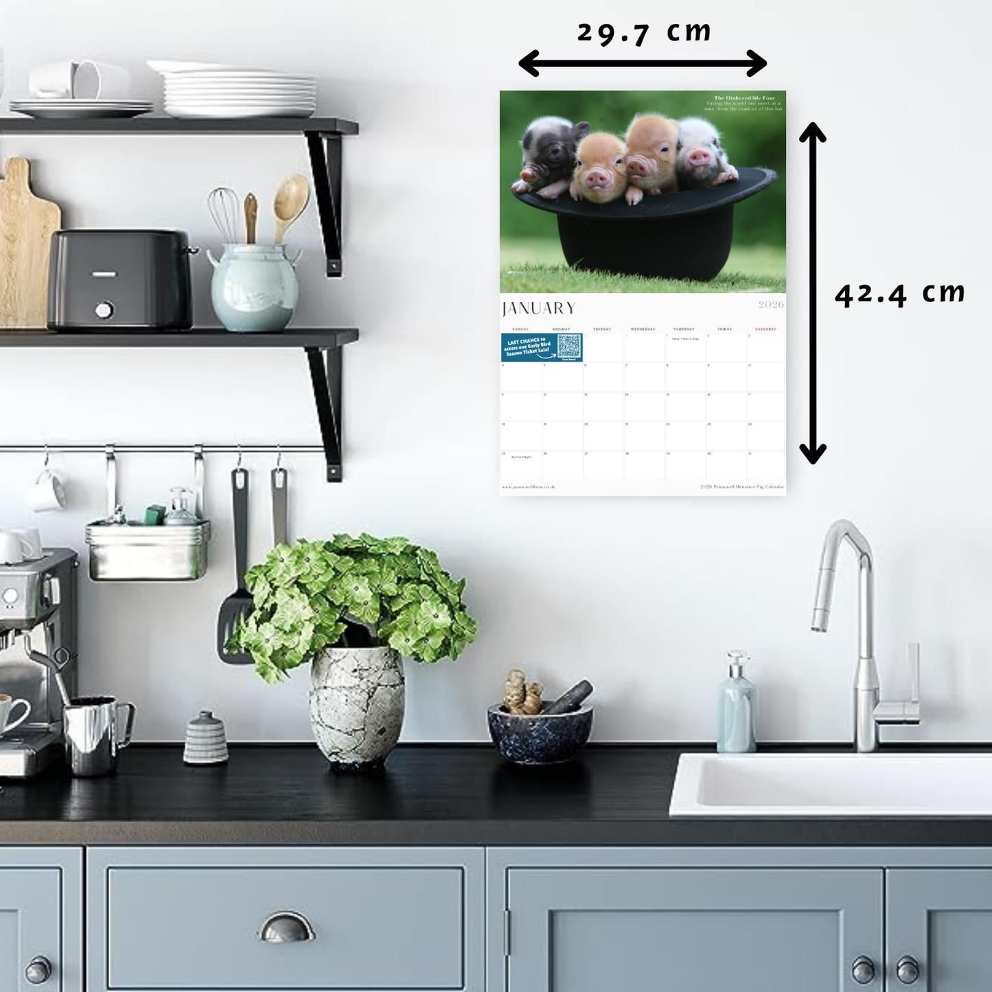 Pennywell Farm Piggy Calendar 2026 January. Four little pigs in a hat