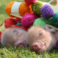 Pennywell Miniature Pig 2027 Calendar
