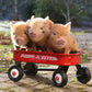 Pennywell Miniature Pig 2027 Calendar