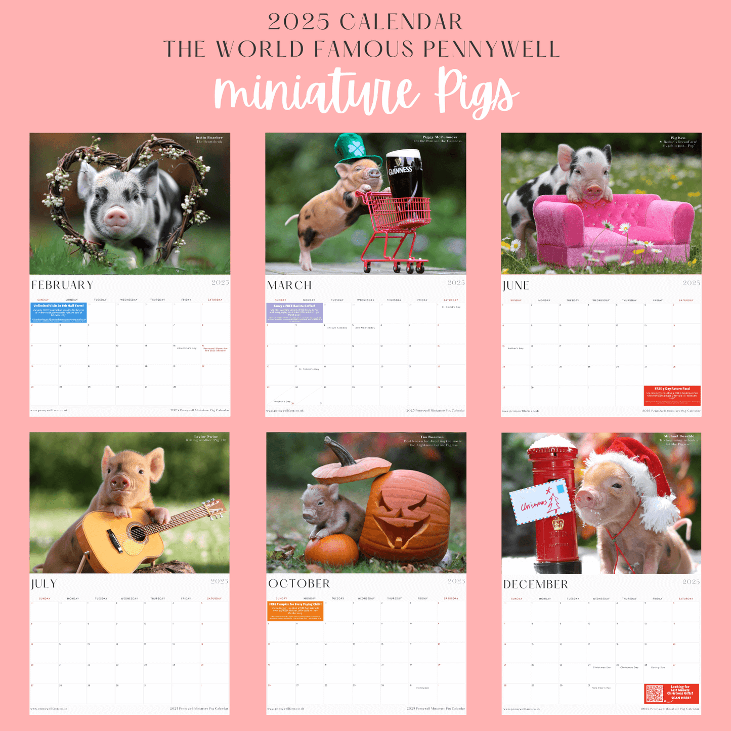 Pennywell Piggy Calender Pennywell Farm